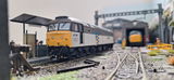 Andrew C. review photo