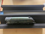Richard N. review photo