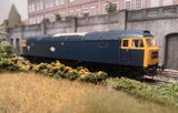 G.M. review photo
