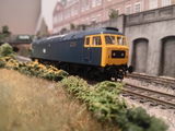 G.M. review photo