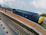 Chris W. review photo