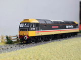 David W. review photo