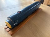 STEVE S. review photo