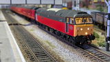Damian G. review photo