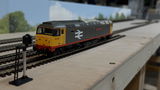Paul D. review photo