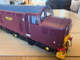 STEVE S. review photo