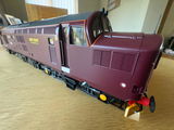 STEVE S. review photo