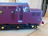 STEVE S. review photo