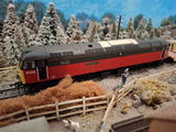 Alexander J.C. review photo