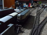 Paul R. review photo
