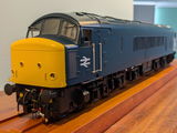 John K. review photo
