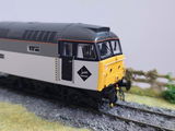 David W. review photo