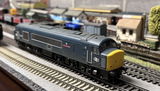 David H. review photo