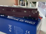 Daniel S. review photo