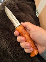 rayne review photo