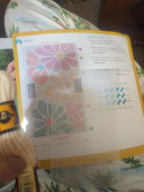 Alicia S. review photo