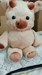 Riya S. review photo