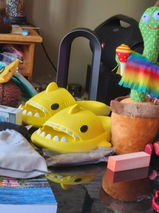 R.C. review photo