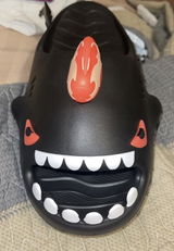 F.A. review photo