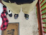 G.m. review photo