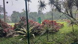 Kamaruddin Mohamad review photo