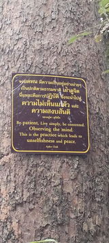 Chye Gaik Lim review photo
