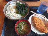 Nori H. review photo