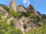 Kong Kok Sang review photo