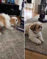 Sophie review photo