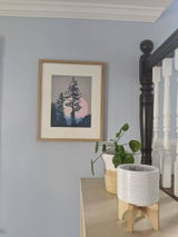 Kerin P review photo