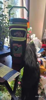 Johnafer K. review photo