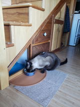 Caitlin Danforth review photo