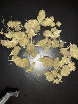 Lee review photo