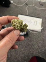 Scotty Micheals review photo