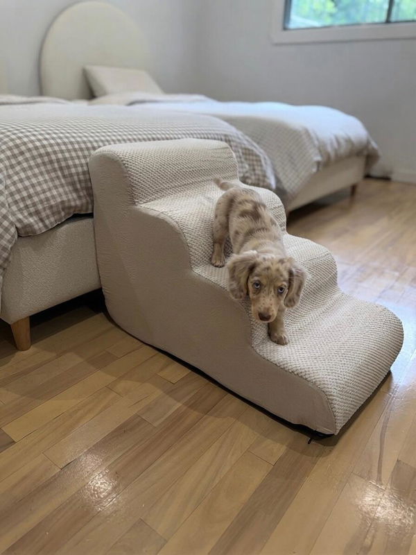 Customer photo from Michele D.'s review of The Henley Doxie Stairs