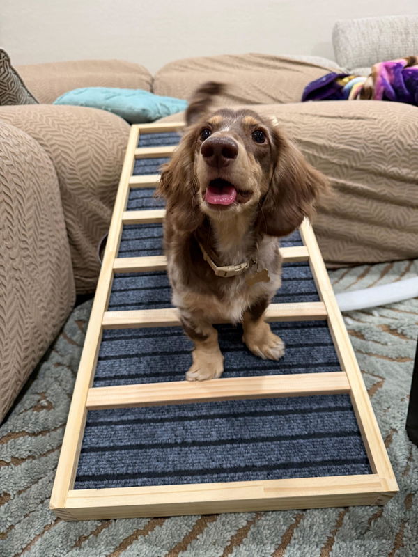 Customer photo from Val's review of The Premium Henley Dog Ramp