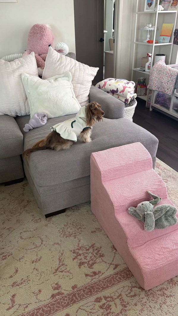 Customer photo from Shybunny's review of The Henley Doxie Stairs