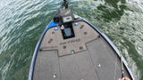Kfishlindberg review photo