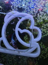 E.G. review photo