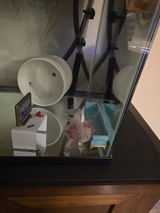 E.S. review photo