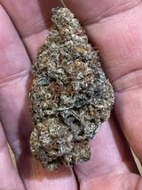 JS review photo