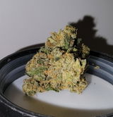 S. review photo