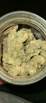 D.R. review photo