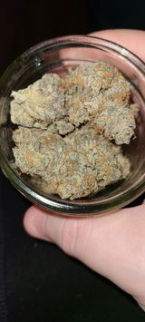 D.R. review photo