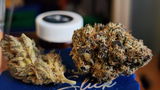 james h. review photo