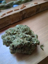 A.M. review photo