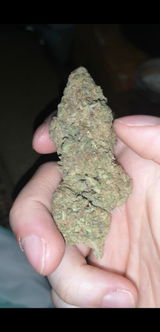 G.R. review photo