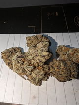 D.R. review photo