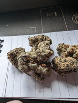 D.R. review photo