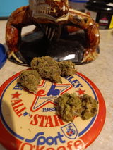 Big Y. review photo